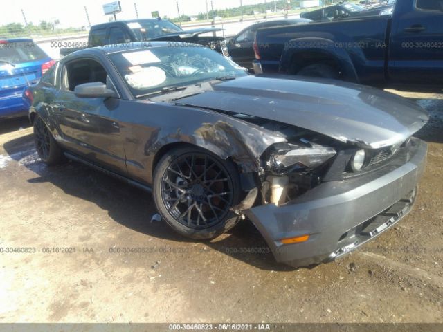 FORD MUSTANG 2011 1zvbp8cf6b5131536