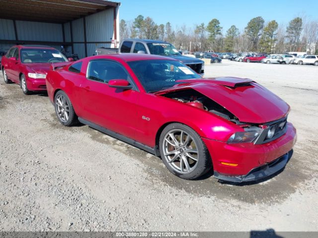 FORD MUSTANG 2011 1zvbp8cf6b5142214