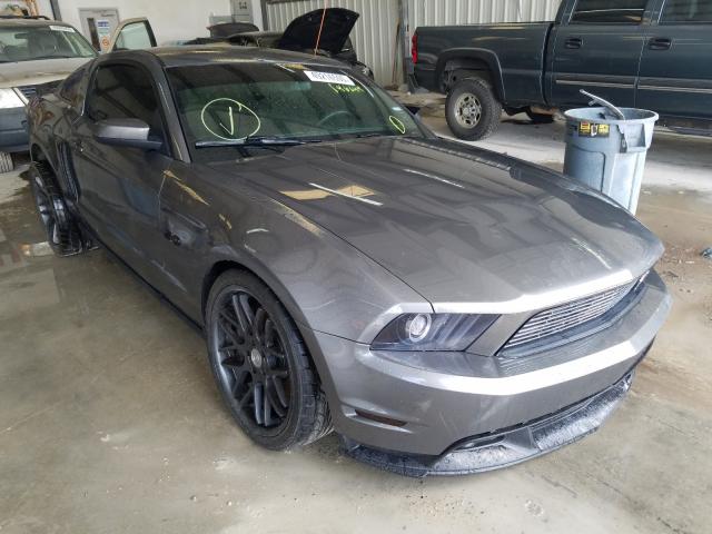 FORD MUSTANG GT 2011 1zvbp8cf6b5146649