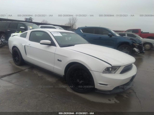 FORD MUSTANG 2011 1zvbp8cf6b5160325