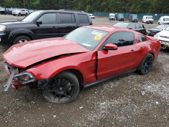 FORD MUSTANG GT 2011 1zvbp8cf6b5165783