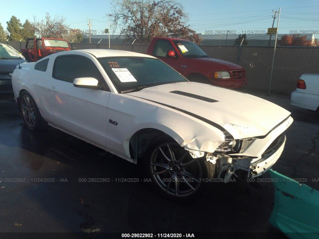 FORD MUSTANG 2013 1zvbp8cf6d5224205