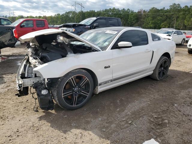 FORD MUSTANG 2013 1zvbp8cf6d5273713