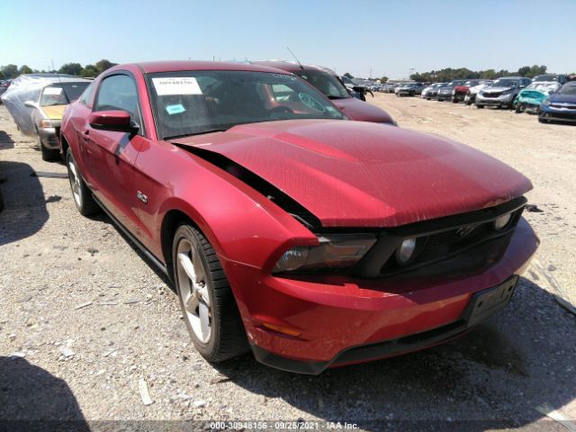 FORD MUSTANG 2011 1zvbp8cf7b5105494