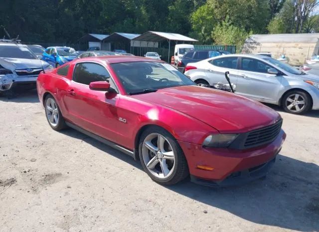 FORD MUSTANG 2011 1zvbp8cf7b5133604