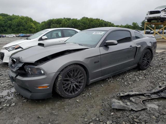 FORD MUSTANG GT 2011 1zvbp8cf7b5148393