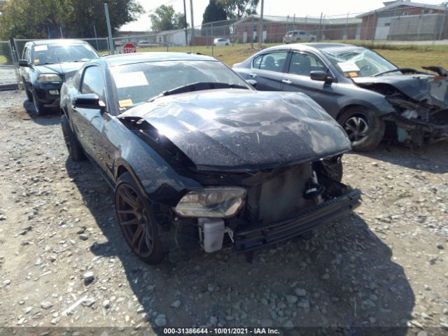 FORD MUSTANG 2011 1zvbp8cf7b5167302