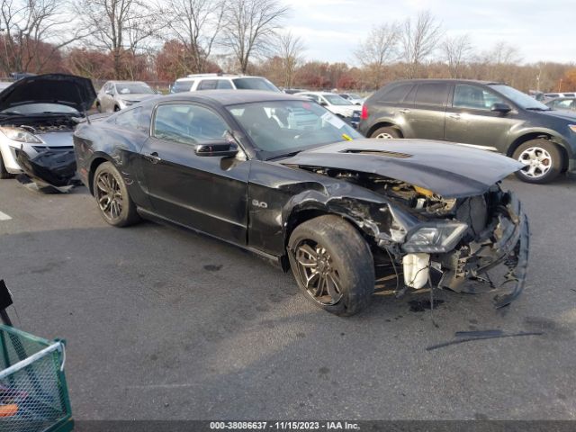 FORD MUSTANG 2013 1zvbp8cf7d5220437