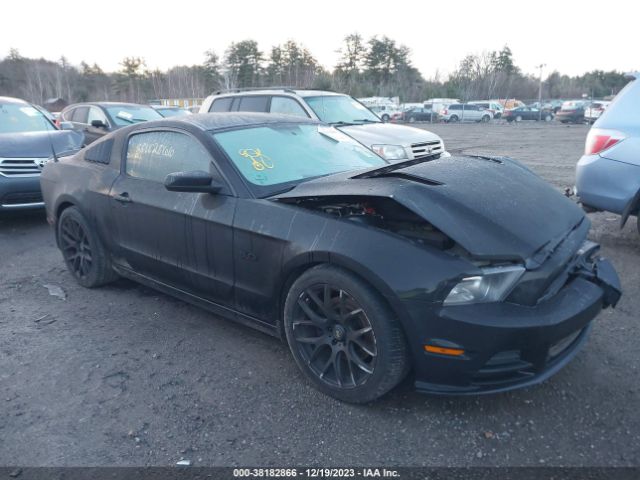 FORD MUSTANG 2013 1zvbp8cf7d5225802