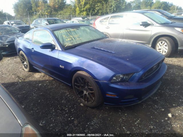 FORD MUSTANG 2013 1zvbp8cf7d5263689