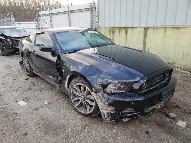 FORD MUSTANG GT 2013 1zvbp8cf7d5278242