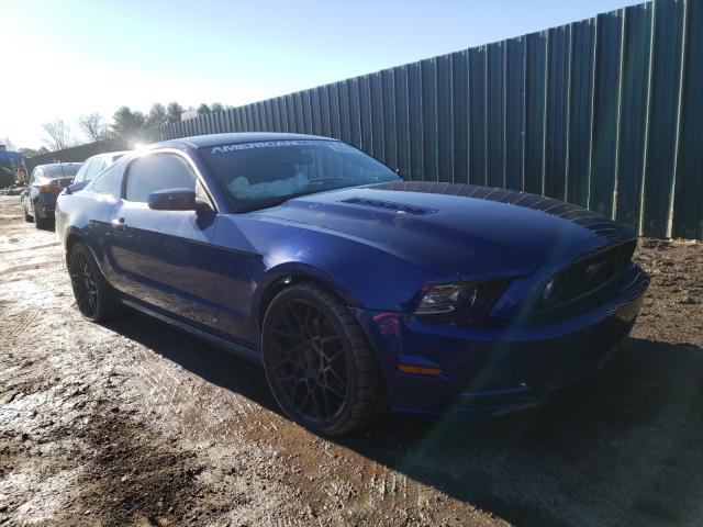 FORD MUSTANG GT 2014 1zvbp8cf7e5203557