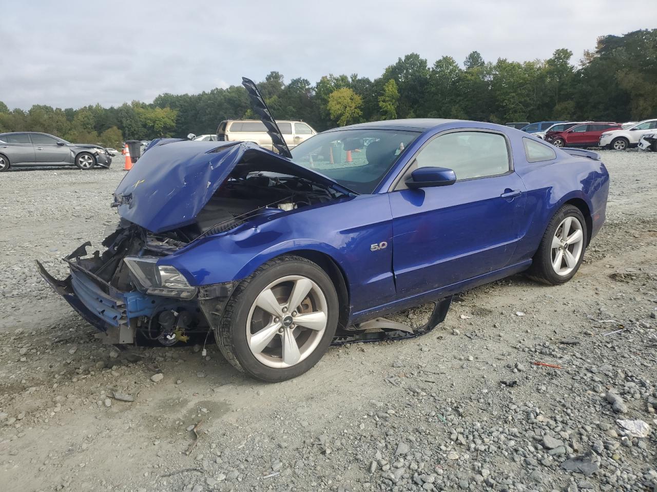 FORD MUSTANG GT 2014 1zvbp8cf7e5253228