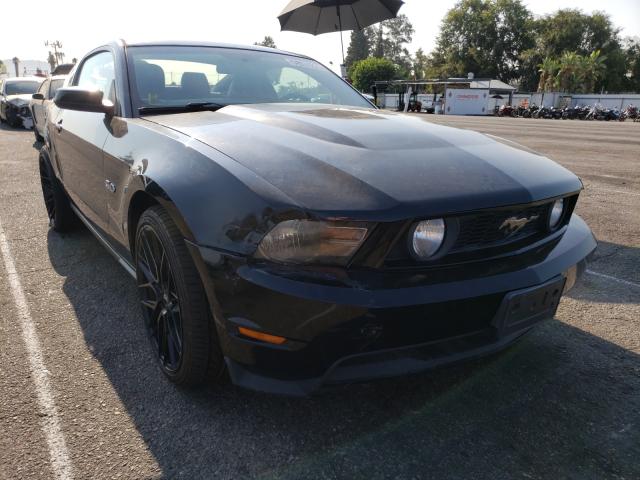 FORD MUSTANG GT 2011 1zvbp8cf8b5106654