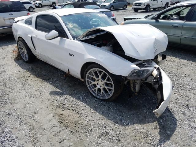 FORD MUSTANG GT 2011 1zvbp8cf8b5114219