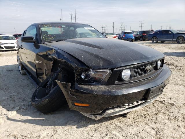 FORD MUSTANG GT 2011 1zvbp8cf8b5114642