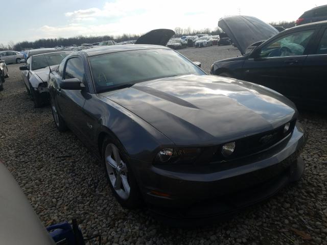 FORD MUSTANG GT 2011 1zvbp8cf8b5156793