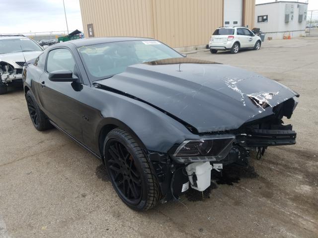 FORD MUSTANG GT 2013 1zvbp8cf8d5280517