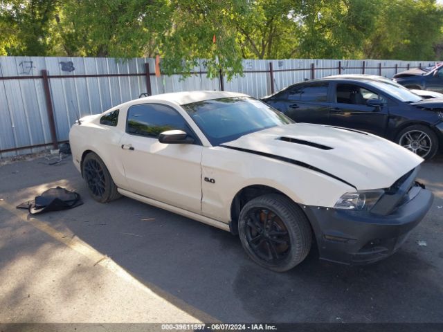 FORD MUSTANG 2014 1zvbp8cf8e5233845