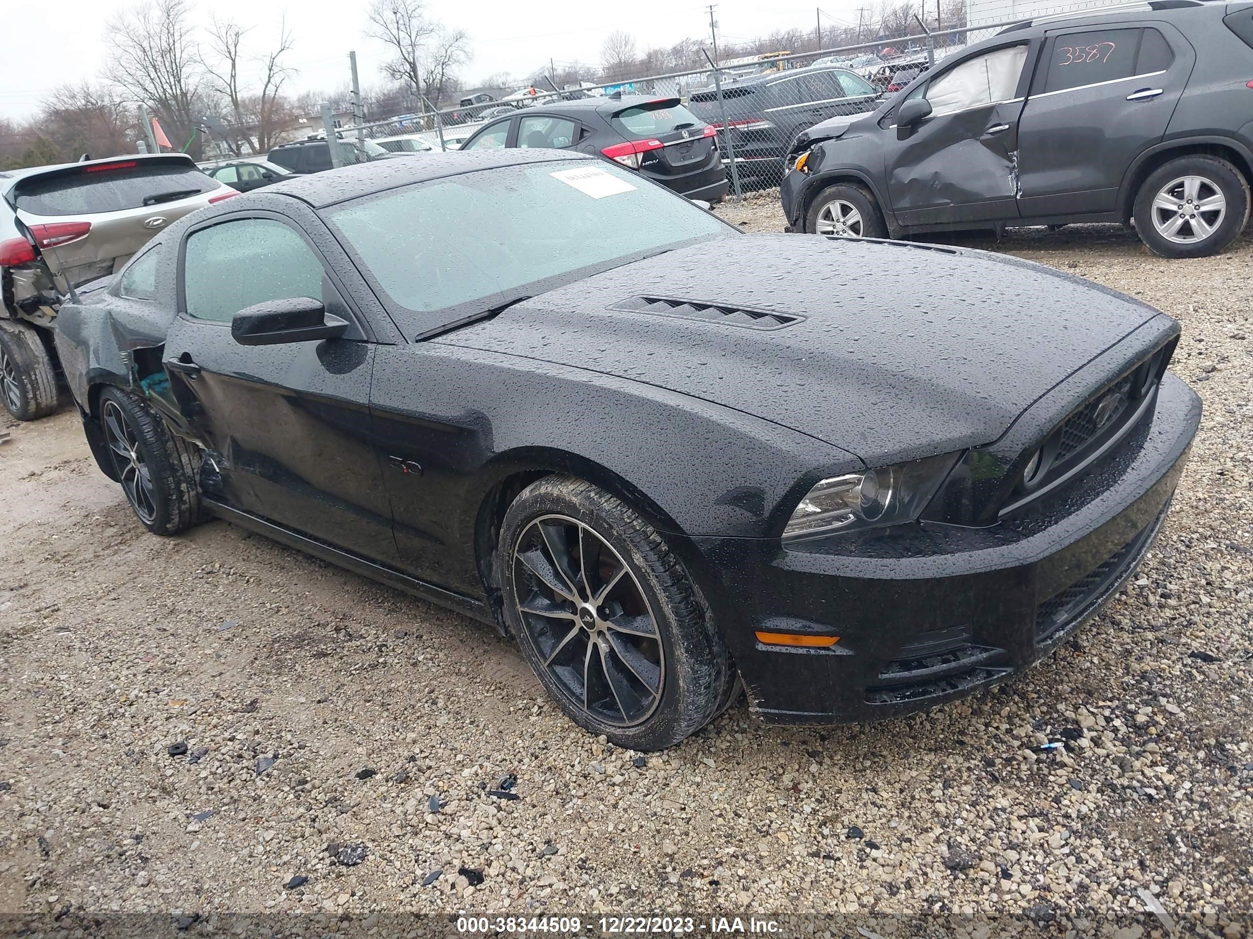 FORD MUSTANG 2014 1zvbp8cf8e5235434