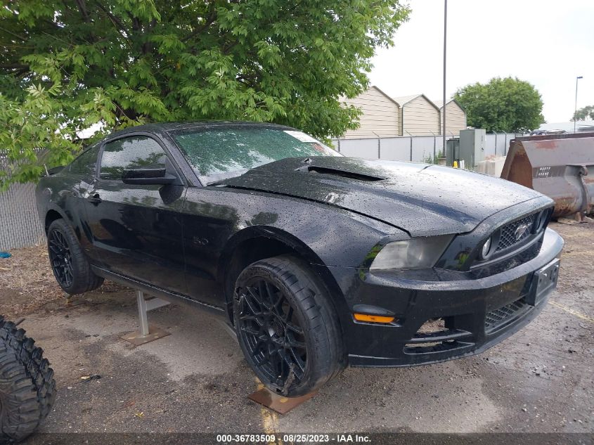 FORD MUSTANG 2014 1zvbp8cf8e5296105