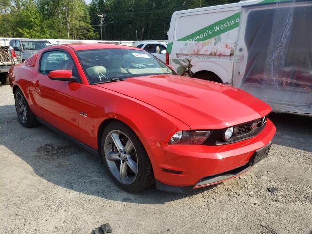 FORD MUSTANG GT 2011 1zvbp8cf9b5102984