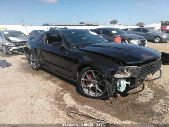 FORD MUSTANG 2011 1zvbp8cf9b5104895