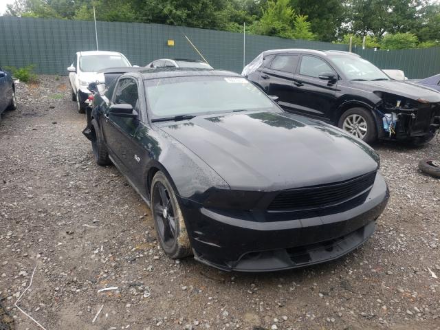 FORD MUSTANG GT 2011 1zvbp8cf9b5124581