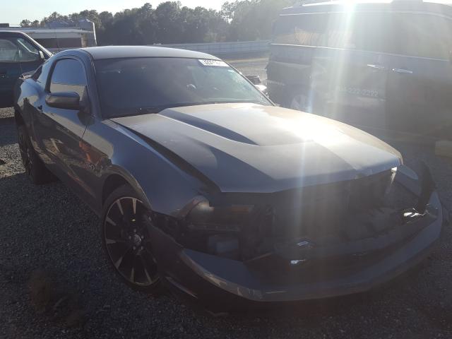 FORD MUSTANG GT 2011 1zvbp8cf9b5135063