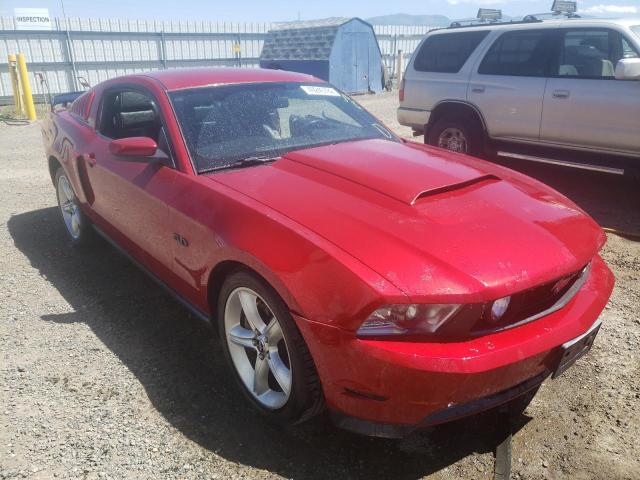 FORD MUSTANG GT 2011 1zvbp8cf9b5143048