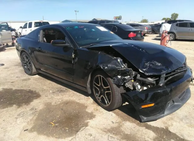 FORD MUSTANG 2011 1zvbp8cf9b5154874