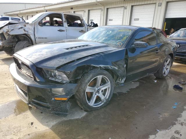 FORD MUSTANG GT 2013 1zvbp8cf9d5231679