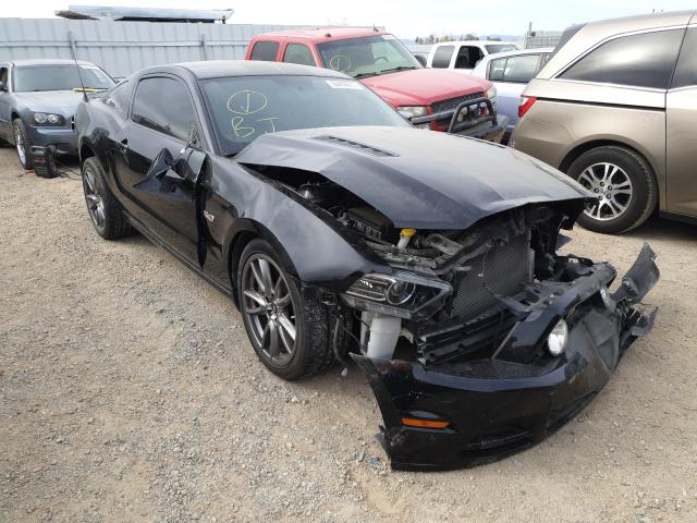 FORD MUSTANG GT 2013 1zvbp8cf9d5232332