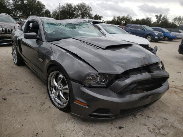 FORD MUSTANG GT 2013 1zvbp8cf9d5263466