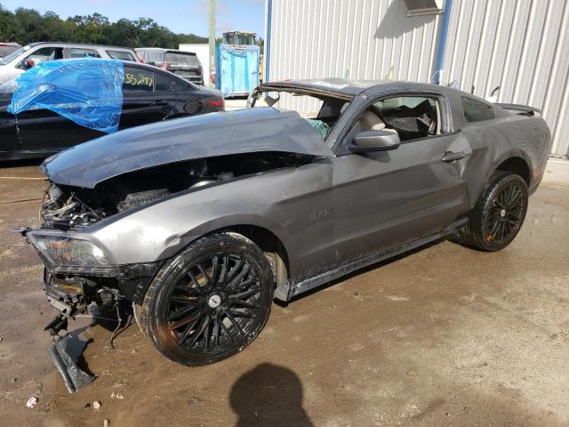 FORD MUSTANG 2011 1zvbp8cfxb5130583