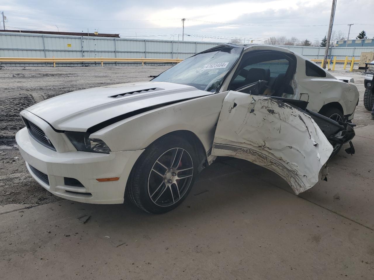 FORD MUSTANG 2013 1zvbp8cfxd5213501