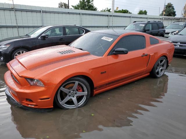 FORD MUSTANG 2013 1zvbp8cfxd5237703