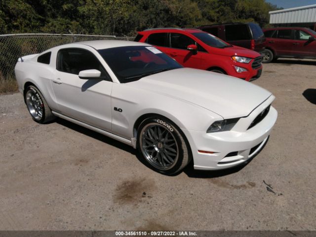 FORD MUSTANG 2013 1zvbp8cfxd5246336