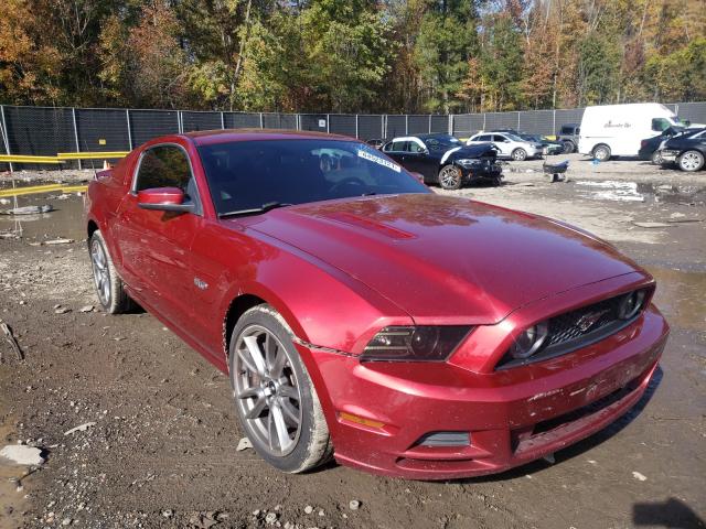 FORD MUSTANG GT 2014 1zvbp8cfxe5256401