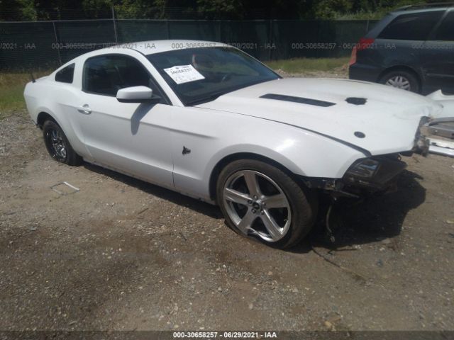 FORD MUSTANG 2014 1zvbp8cfxe5265664