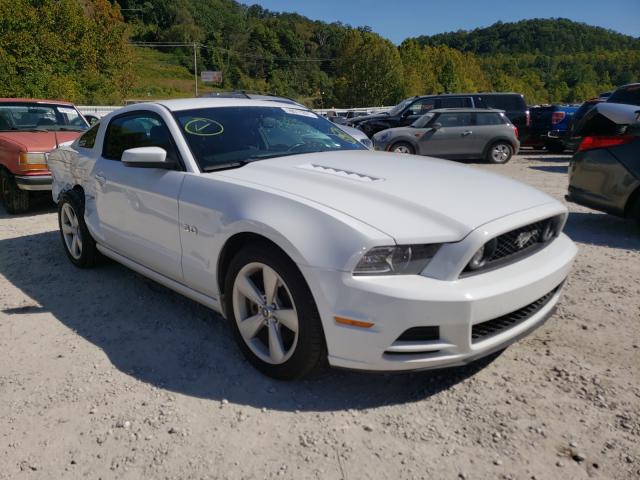 FORD MUSTANG GT 2014 1zvbp8cfxe5277457