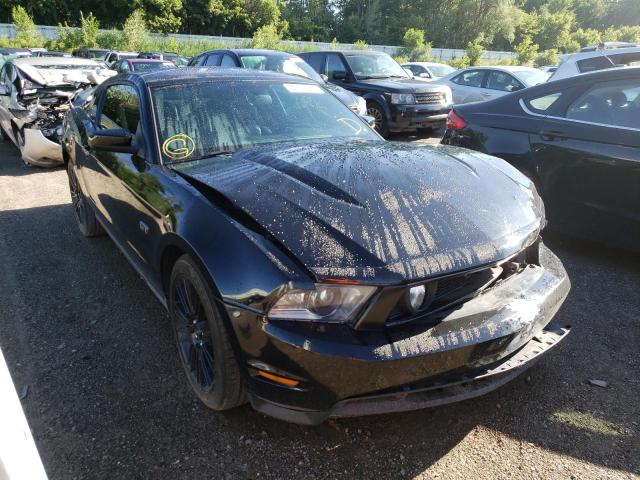 FORD MUSTANG GT 2010 1zvbp8ch1a5117656