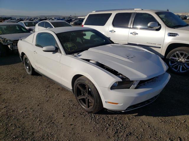 FORD MUSTANG GT 2010 1zvbp8ch1a5138989