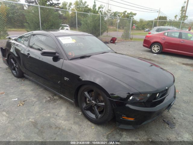 FORD MUSTANG 2010 1zvbp8ch1a5173077