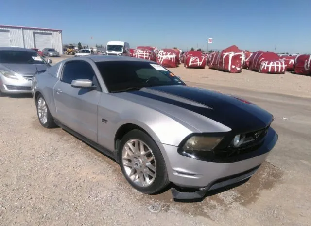 FORD MUSTANG 2010 1zvbp8ch2a5101787