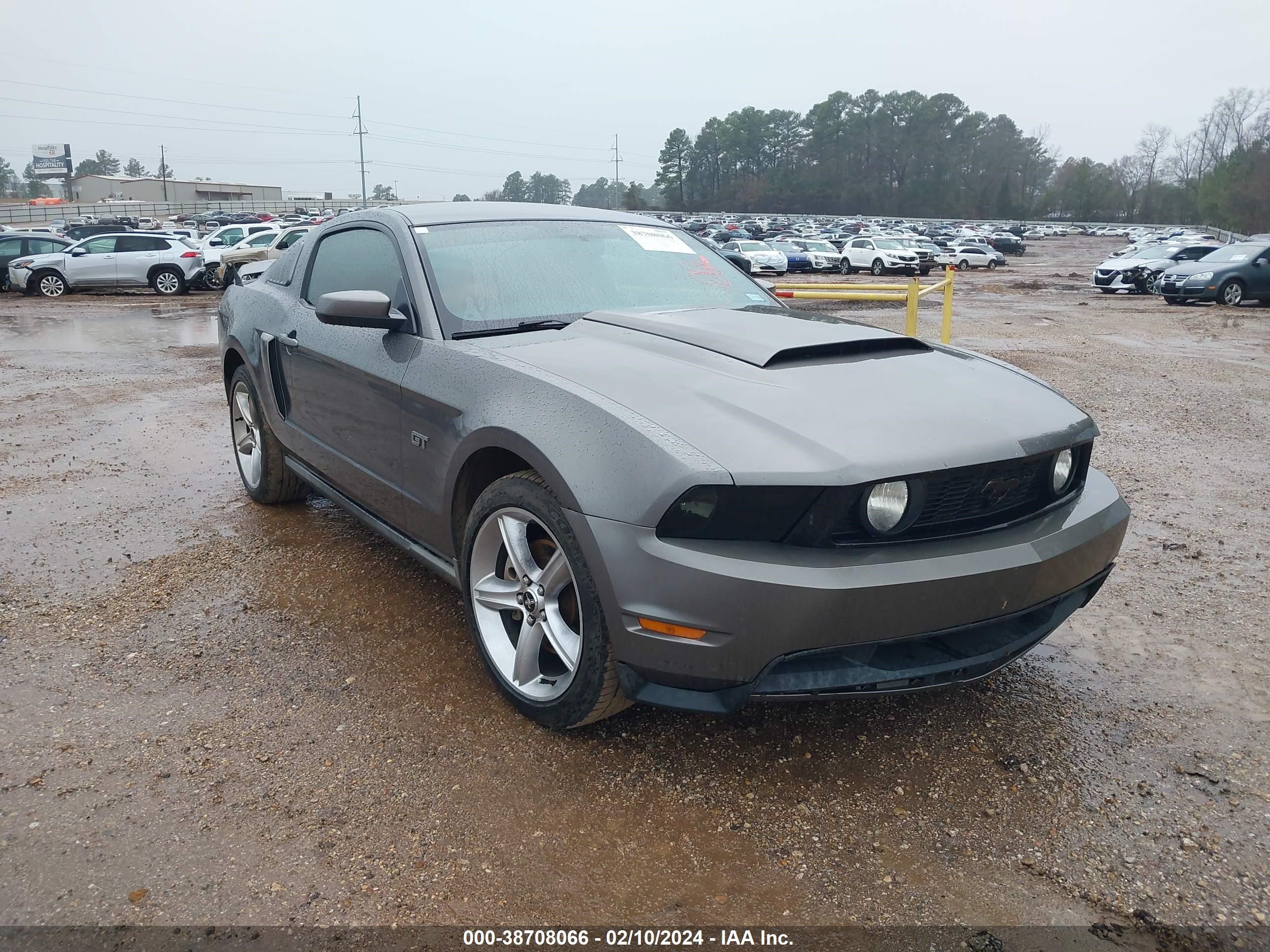 FORD MUSTANG 2010 1zvbp8ch2a5115981