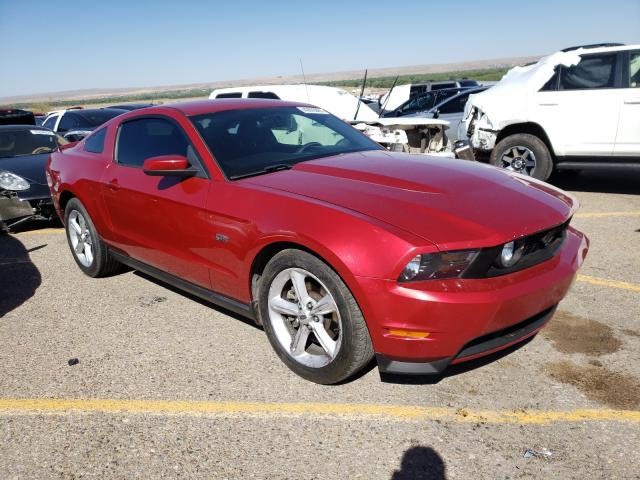 FORD MUSTANG 2010 1zvbp8ch2a5127032