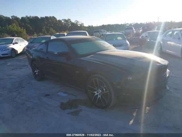 FORD MUSTANG 2010 1zvbp8ch2a5151945