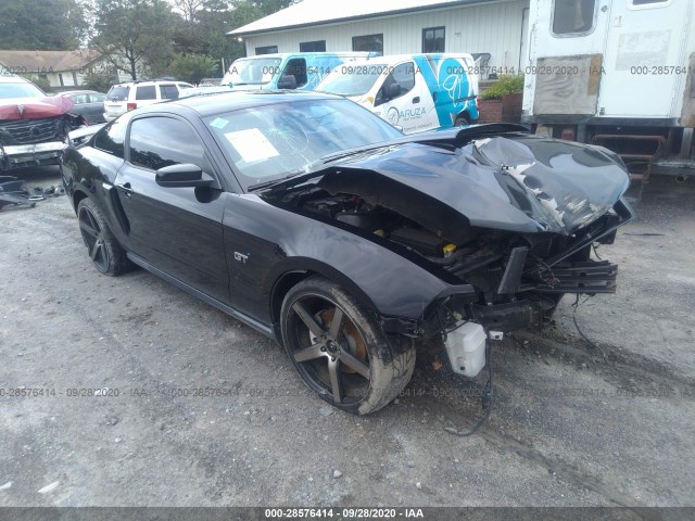 FORD MUSTANG 2010 1zvbp8ch2a5162282