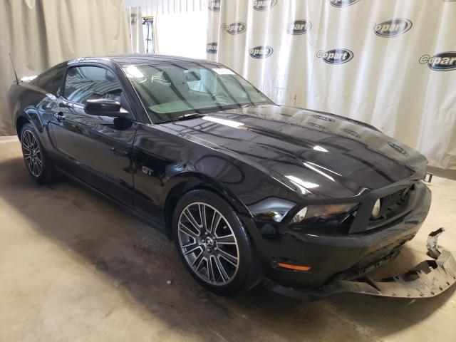 FORD MUSTANG GT 2010 1zvbp8ch4a5150103